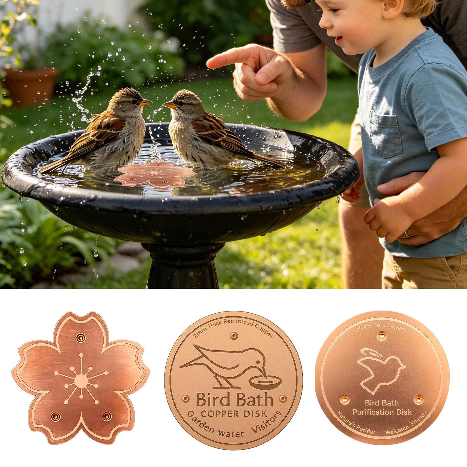 Copper For Bird Bath Safe Puri - Watches Original 评论和价格